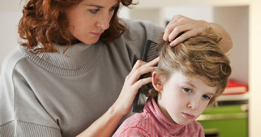 how do you know if you have head lice