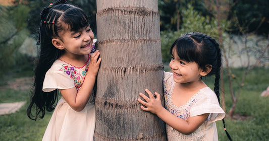 3 RAZONES POR LAS QUE NECESITAS UN PEINE PARA PIOJOS, NO UN PEINE NORMAL