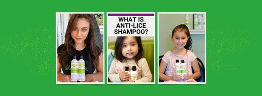 what is anti-lice shampoo?