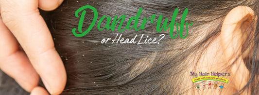 is it dandruff or head lice