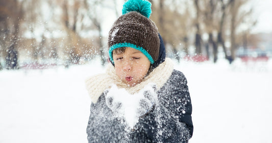 Do head lice die in the winter?