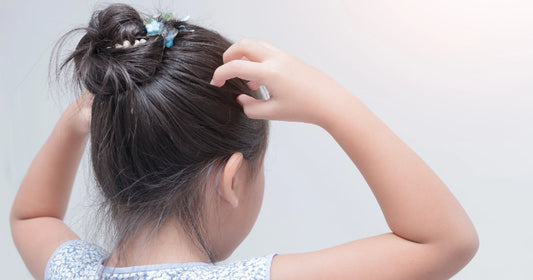 how many eggs do female lice lay