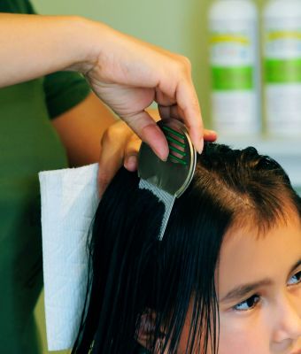 lice and nit comb